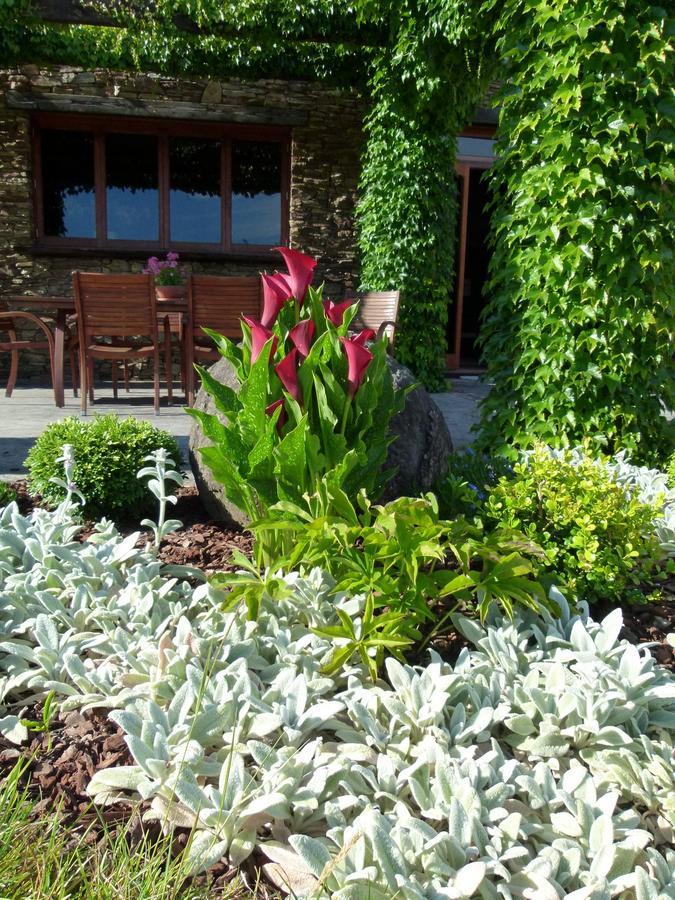 Hadleigh Boutique Lodge Tamahere 외부 사진
